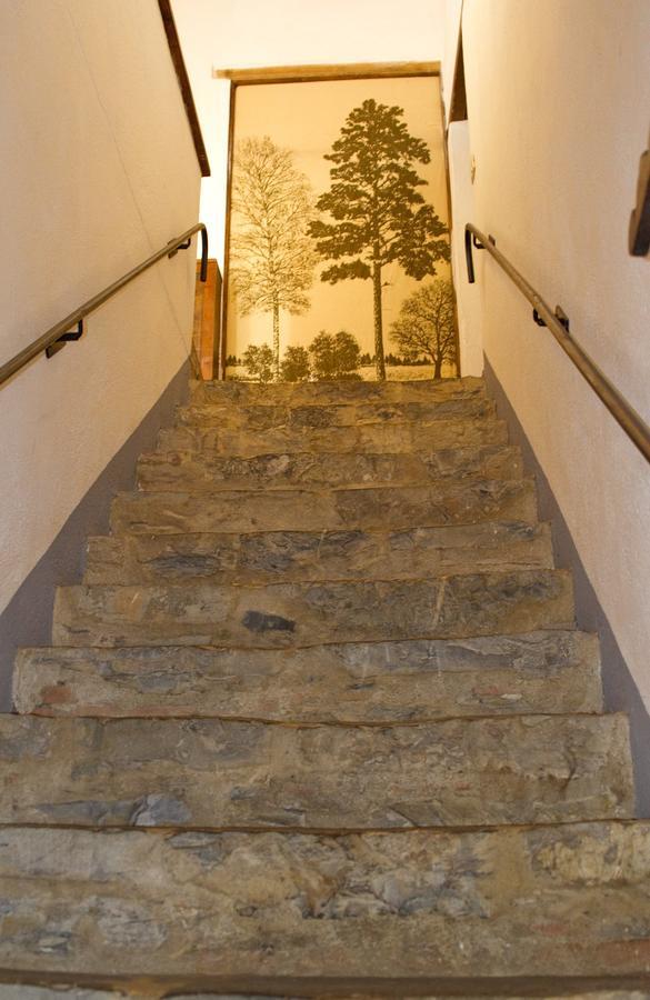 Agriturismo Santa Caterina Castelnuovo di Val di Cecina Room photo